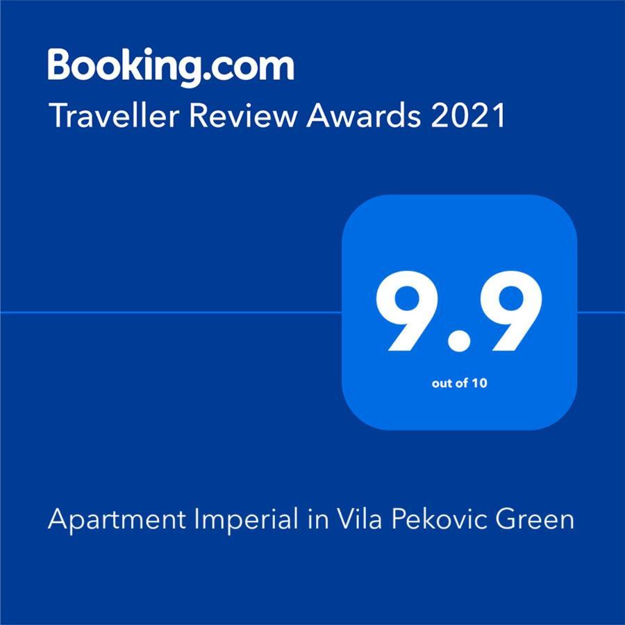 Apartment Imperial in Vila Pekovic Green Zlatibor Buitenkant foto